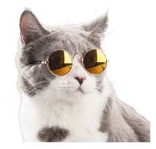 GAFA MASCOTA tamaño